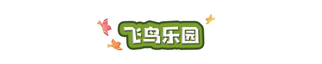 长隆飞鸟乐园长隆熊猫酒店怎么选,周一长隆野生动物园游玩攻略
