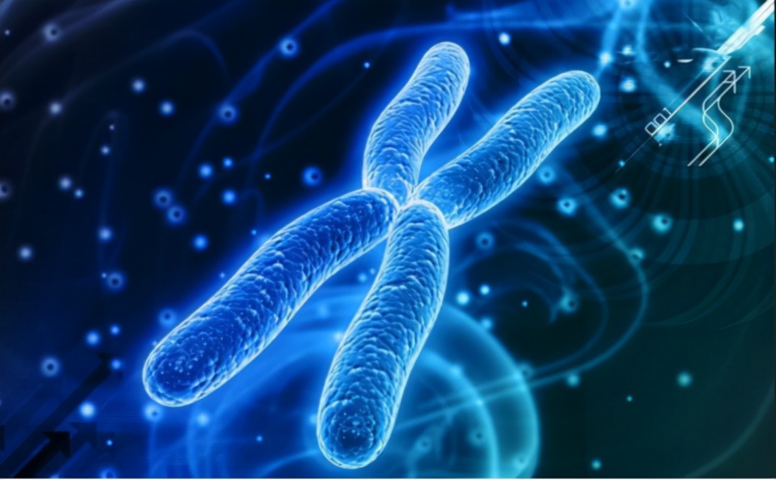 人类寿命最新研究,人类寿命有没有打碎自然规律