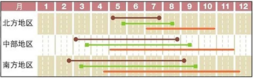 一场知识交换：你教我用罗勒做菜，我教你用盆种出罗勒