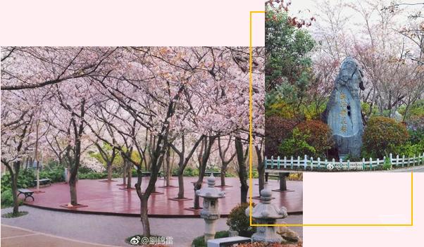 徐州清明假期旅游攻略,徐州春天去哪里旅游好