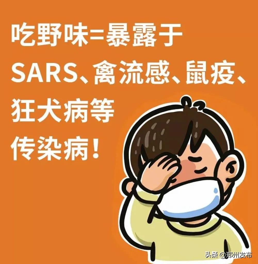 野味都有什么动物,哪些动物属于野味