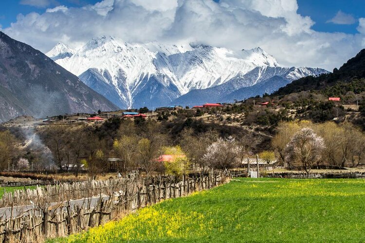 海子面朝大海春暖花开写作时间,海子面朝大海春暖花开原文图片