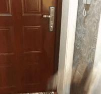 搞笑gif这才是真正的口若悬河,搞笑gif趣图这大概就是爱情吧