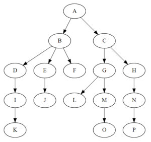 给自己心里种一棵树,和儿子一起种一棵树