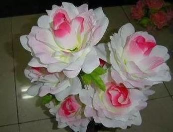 为啥你拍的视频这么好看,为什么拍摄的电影有dv感