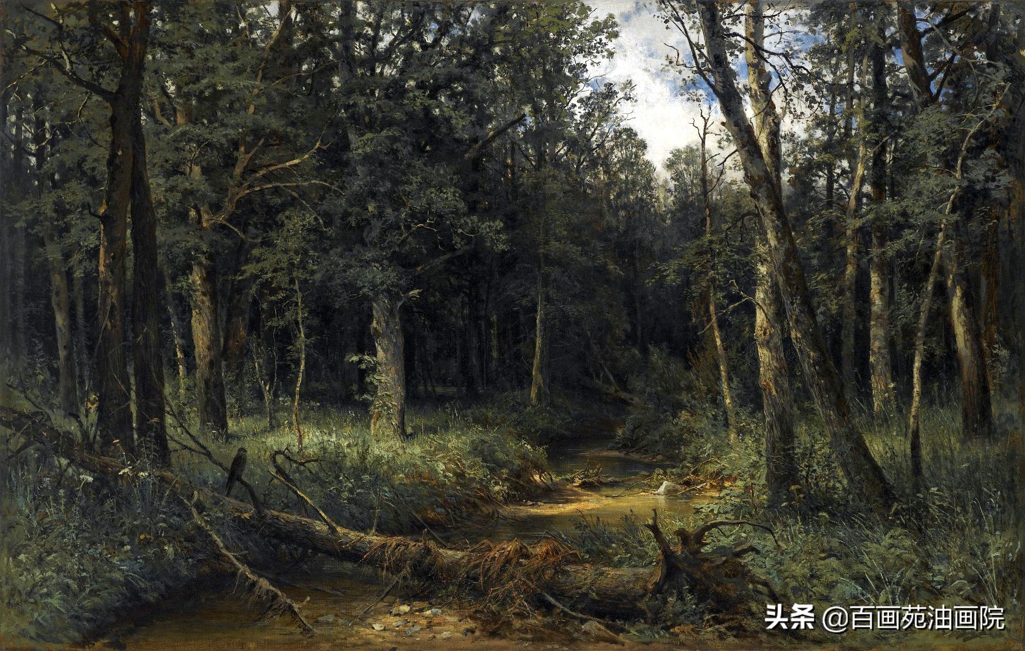 简单油画初学者画树,油画画树叶丛的技巧