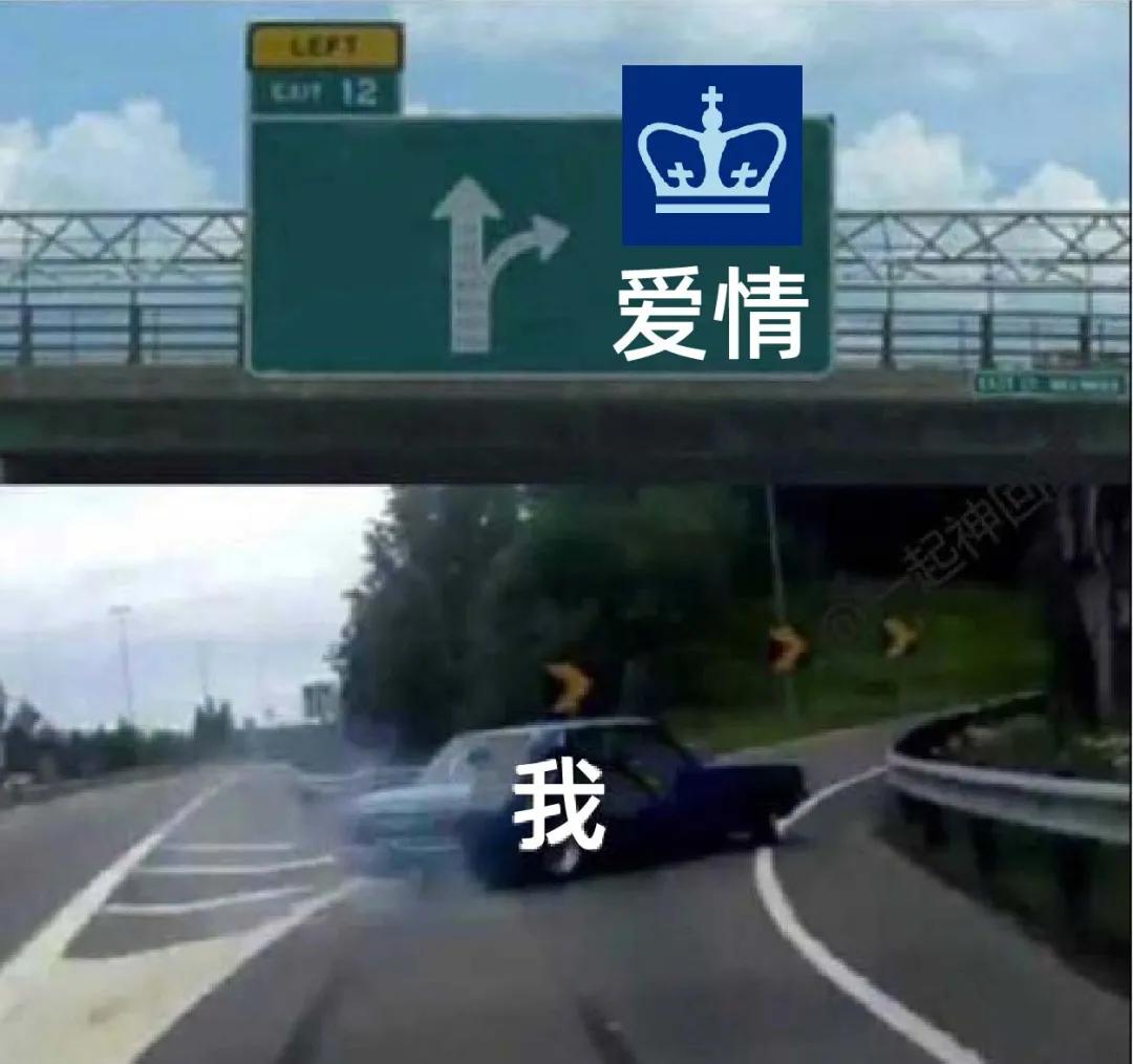 这10所美国大学最受申请者青睐,美国十所著名大学