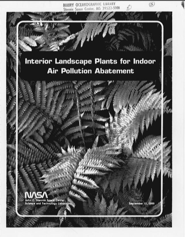 新房除甲醛最好的植物测评,去甲醛排行榜第一名植物除甲醛