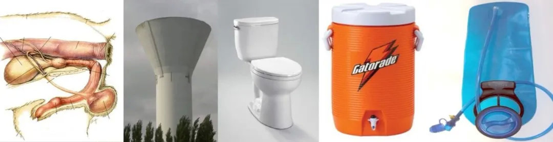 孩子膀胱容量130,儿童最大膀胱容量197正常吗