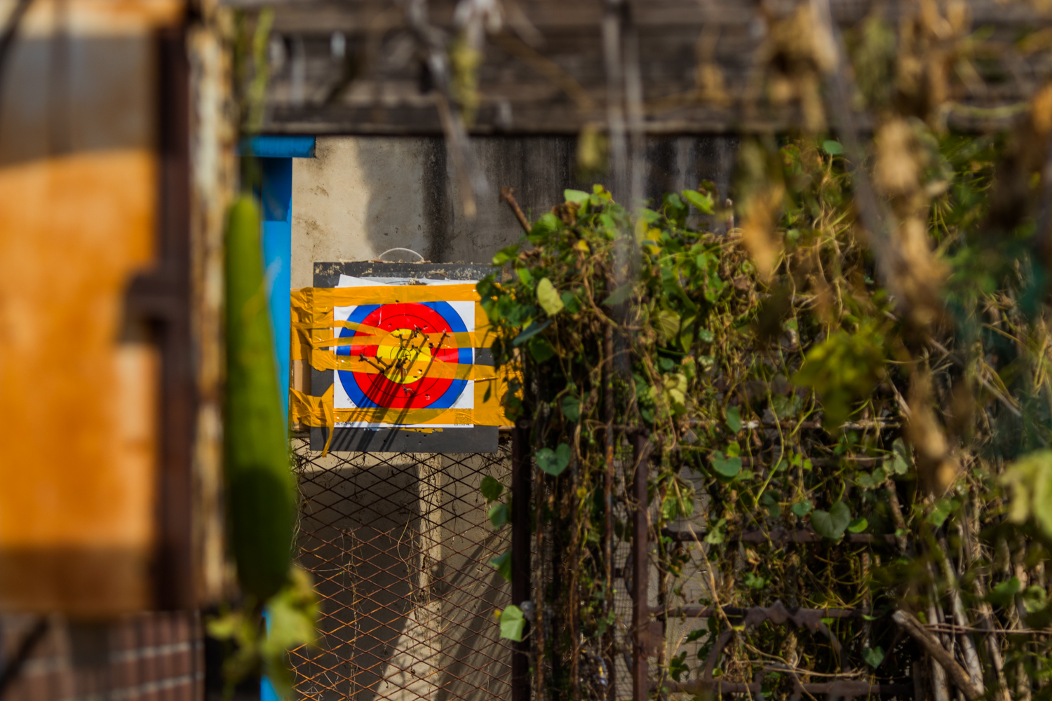 国产复合弓十大品牌,实战测试弓和弩