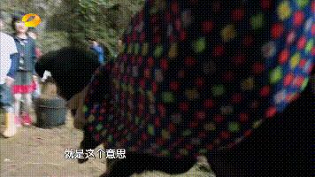 复仇方式电影,最狠的复仇方式电影