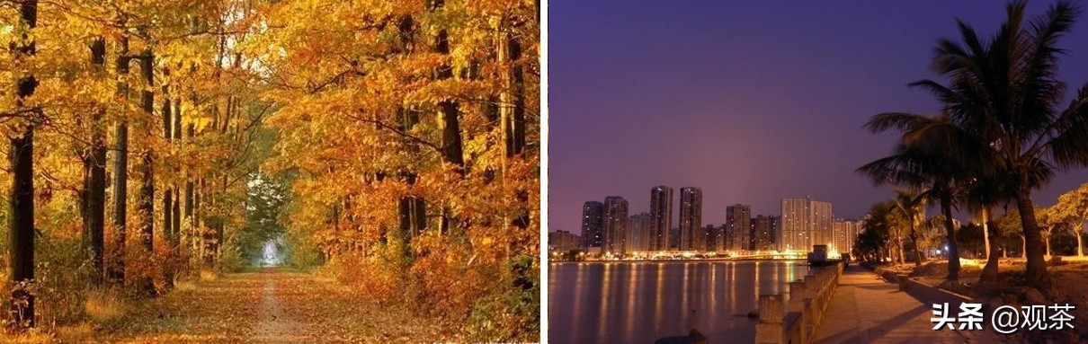 珠海有哪些值得打卡的地方,珠海有什么地方值得去打卡