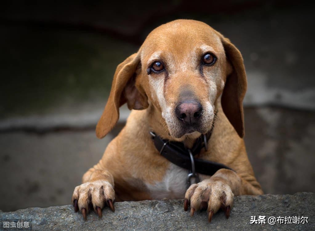 教你眼霜的正确按摩方法,好的眼霜也需要有好的使用方法