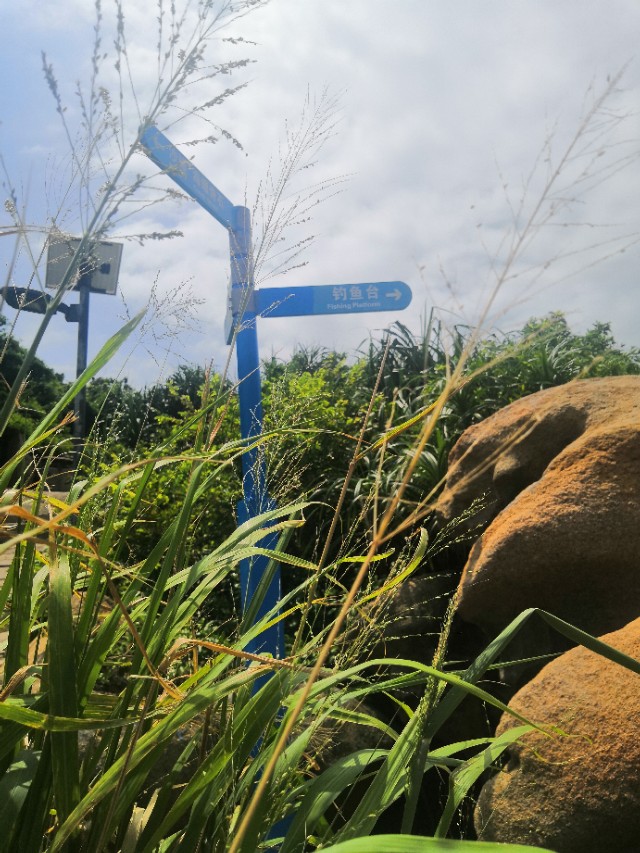 珠海旅游胜地外伶仃岛,珠海外伶仃岛岛屿旅游攻略