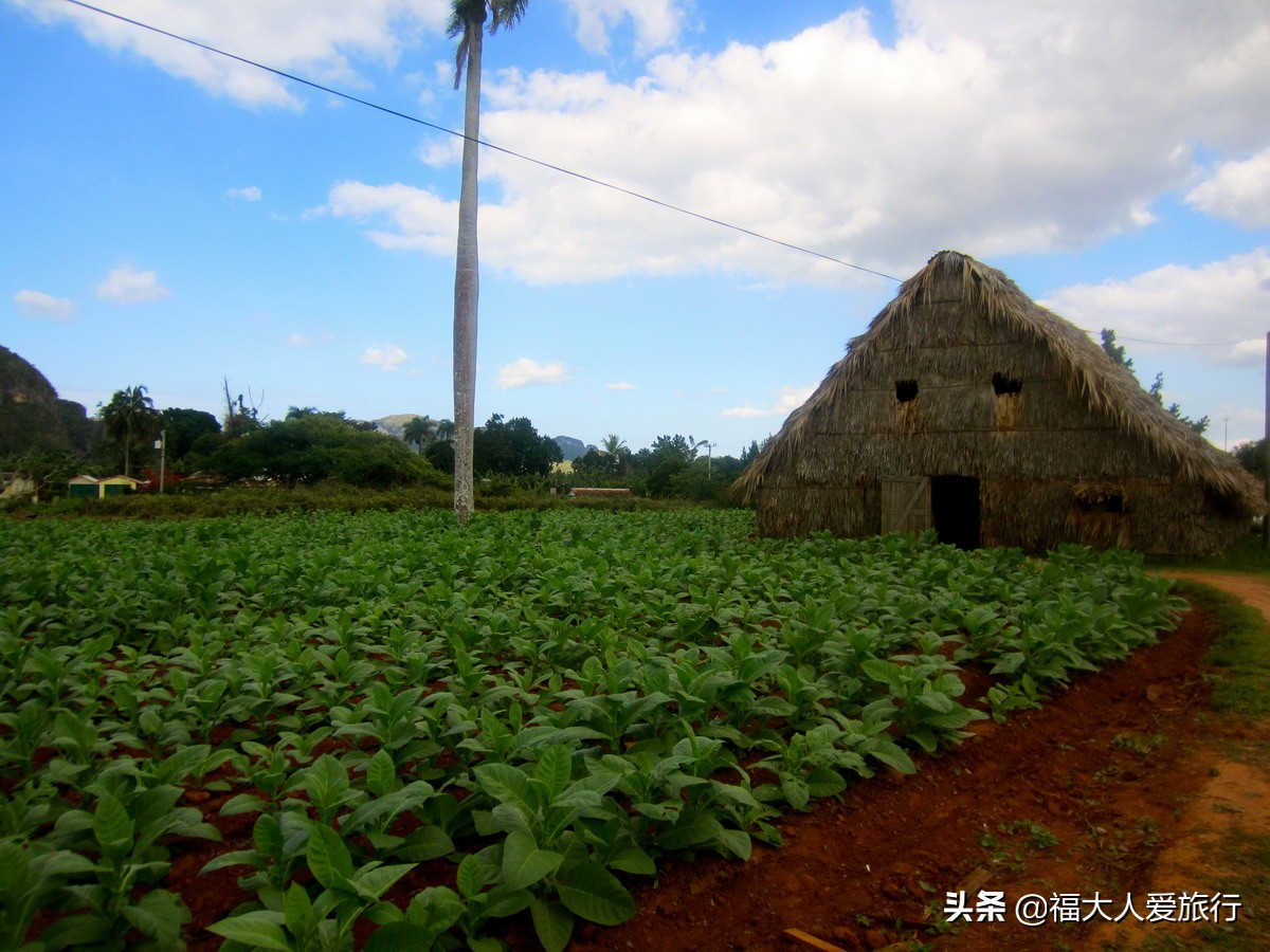 给我一支雪茄，我别无他求！探访世界顶级雪茄故乡，人人享用其中