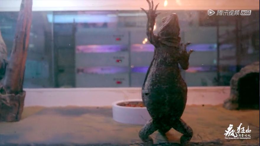 年轻人唯一的出路就是攒钱,把债还清后下一步就是攒钱