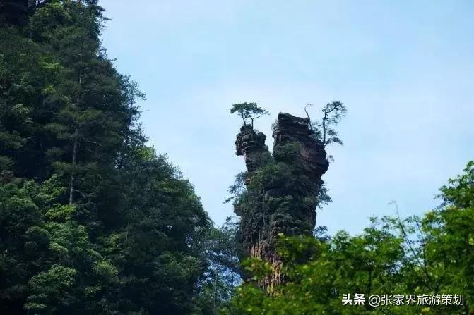 自由行张家界吃住旅游攻略,张家界旅游自由行详细攻略