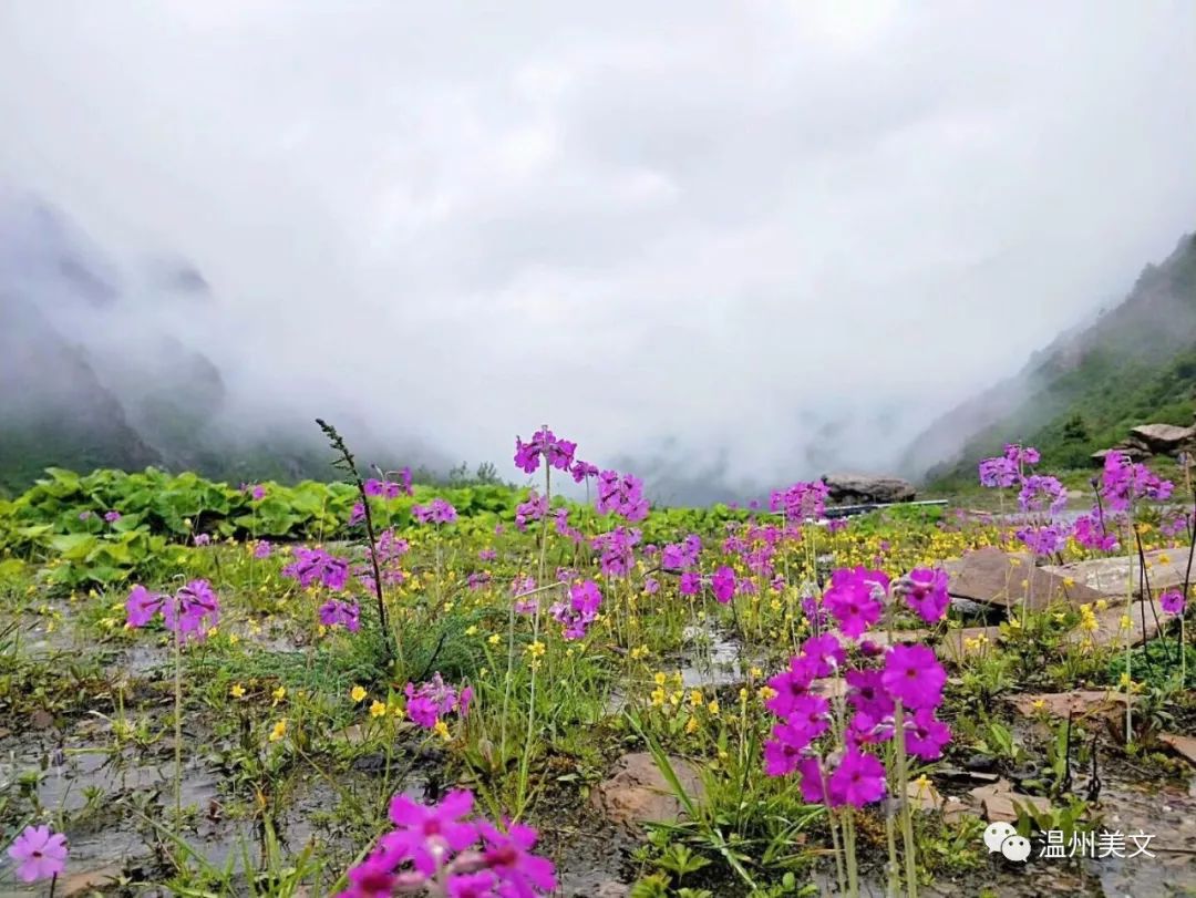 始于颜值忠于才华和人品,始于颜值陷于才华忠于人品