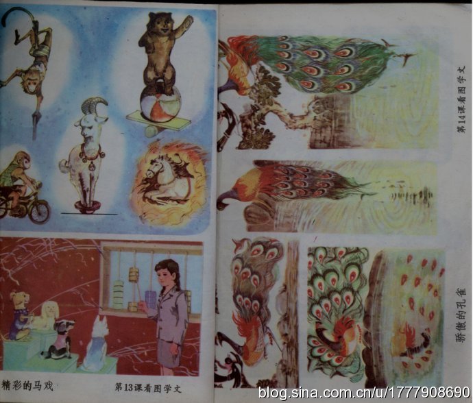 五年制小学语文课本80后回忆,80后一代人的上学生活回忆