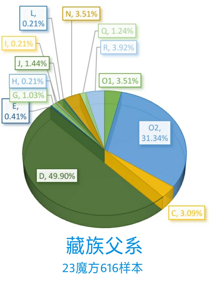 各民族基因对比,中国民族的遗传基因