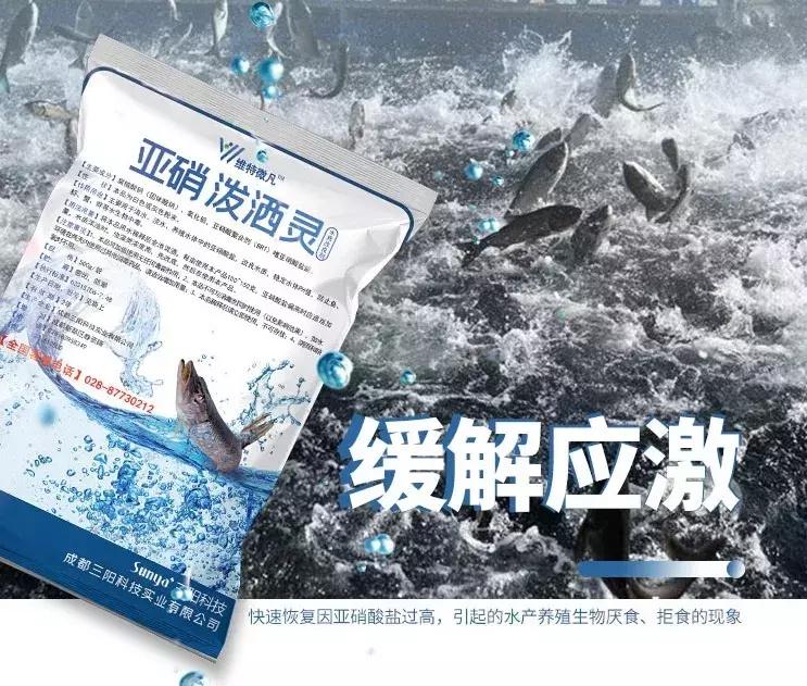 硝化细菌深度解析,如何挑选一款好的硝化细菌