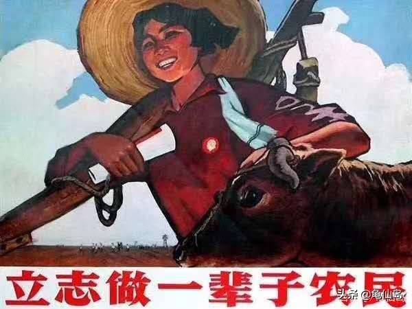 我的梦想是当一名医生小学生作文,小学作文我的理想是做一坨鸡屎