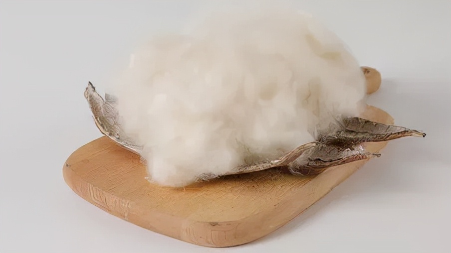 木棉纤维的优点和缺点,木棉纤维与棉纤维的区别