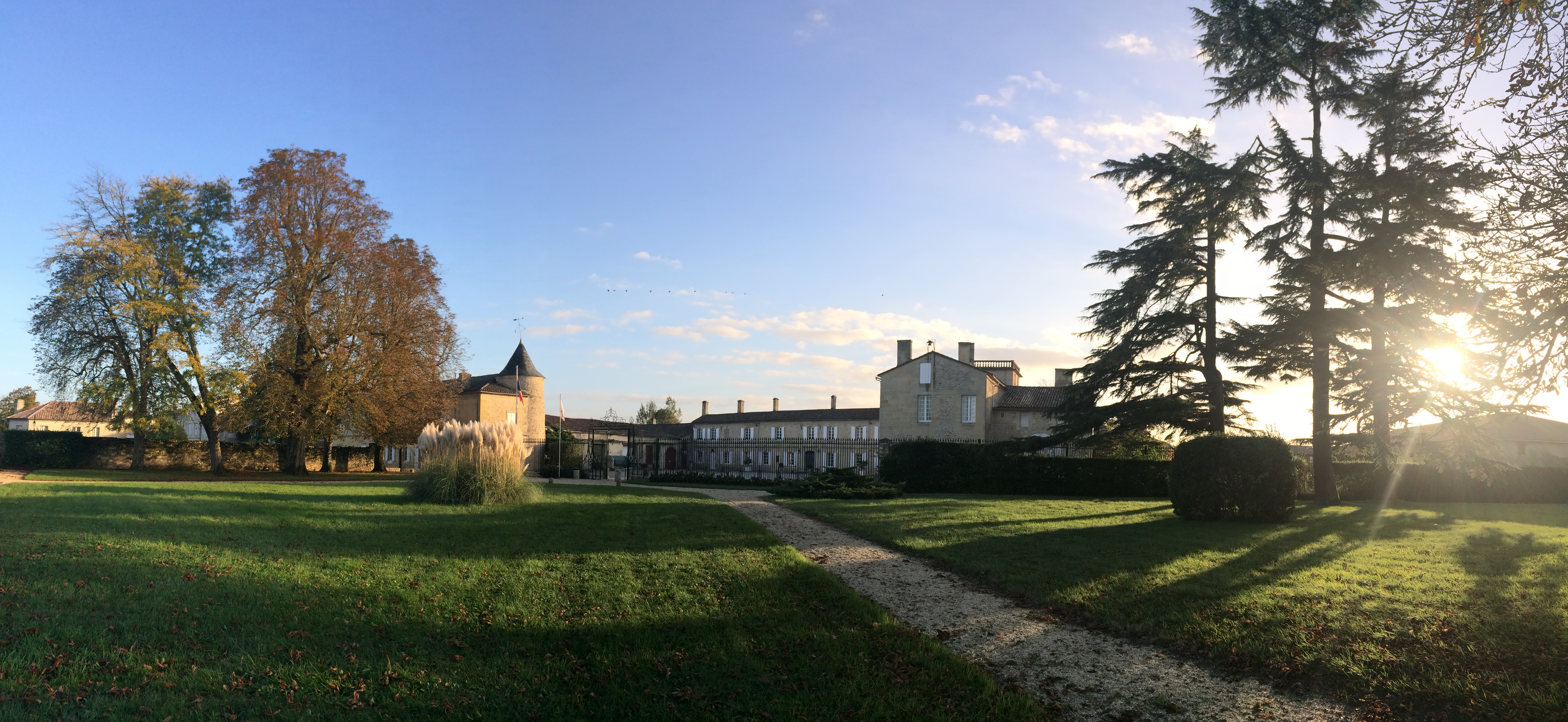 法国波尔多法定葡萄品种,波尔多式葡萄品种大全