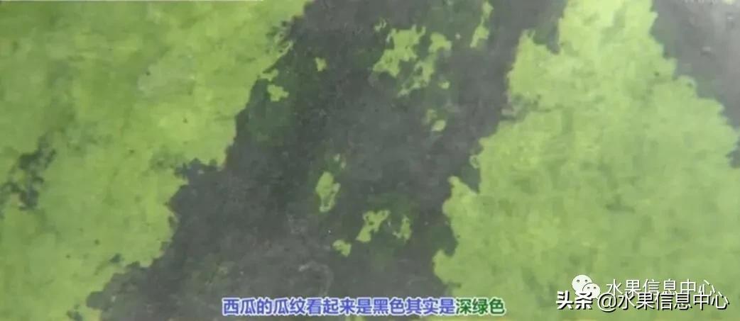 日本水果店怎么挑选,正宗日本水果店