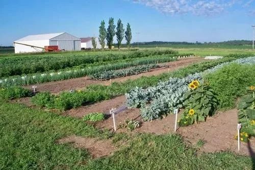 农业为何要搞众筹？筹钱、筹人、筹资源（附4个案例）