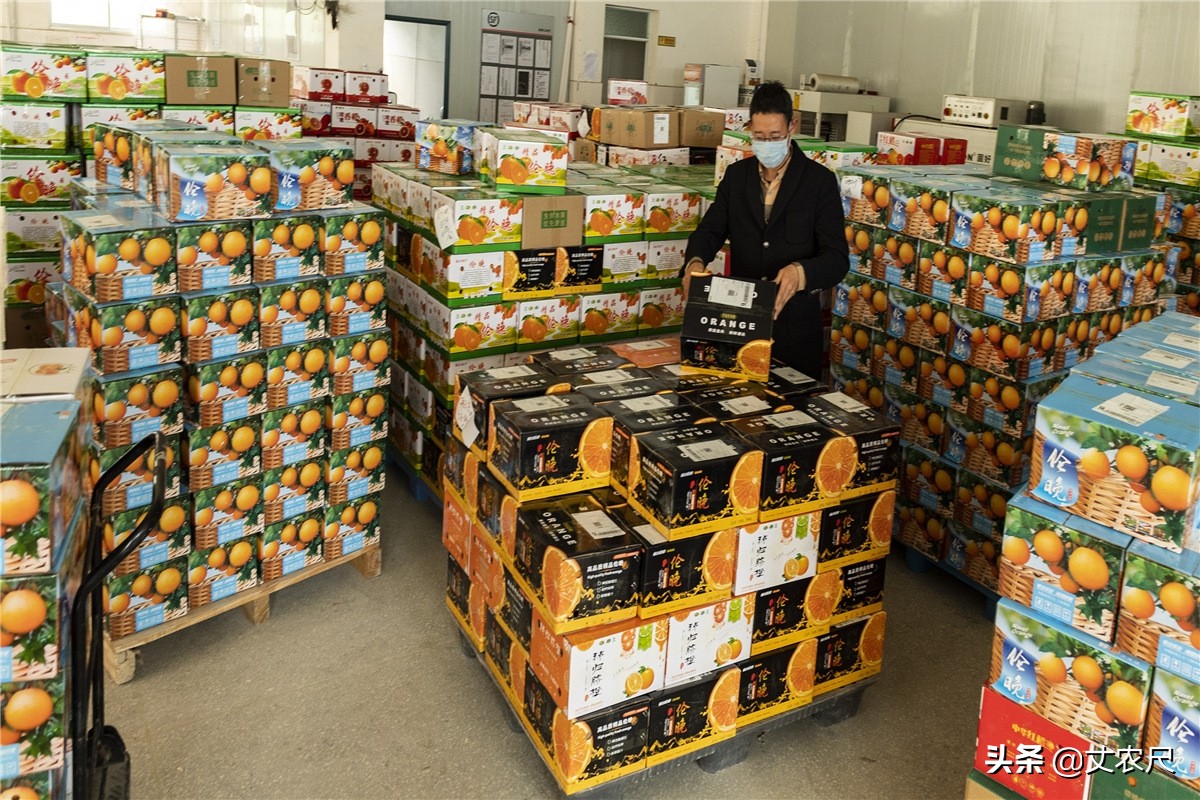 农村淘宝发展规模如何变大,淘宝农村电商最新发展政策