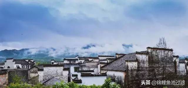 园林景观设计知识干货图,精品园林景观设计建造杂记