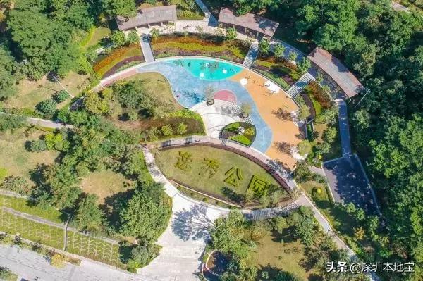 深圳免费的景点有哪些地方,深圳有哪些免费又好玩的地方景点