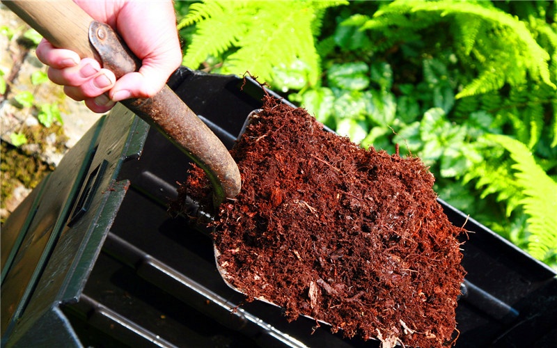 未来5年前景最好的加工项目,20万可以开办哪些有前景的加工厂