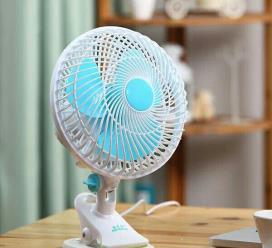 除甲醛最有效方法用这几个就够了,除甲醛的秘诀竟是如此简单有效