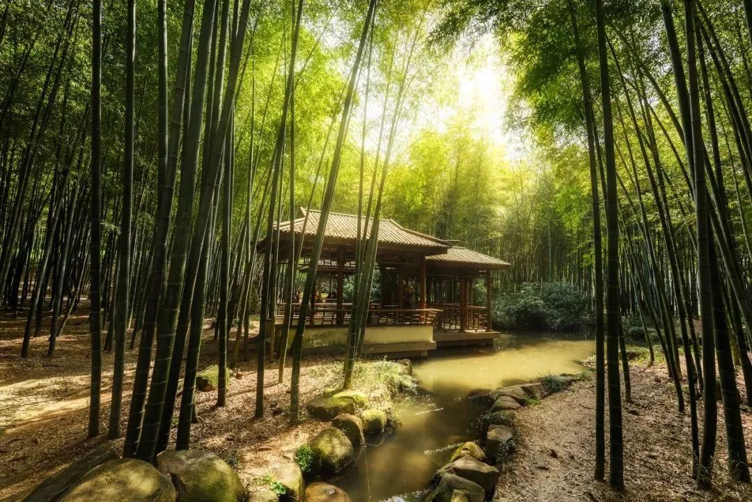 苏州真正的烟雨江南在哪里,江南烟雨苏州古城