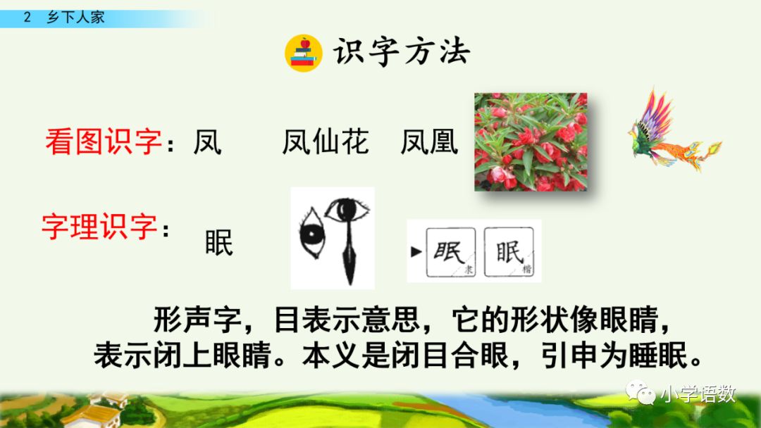 四年级下册乡下人家小练笔350字,四年级语文下册繁星精讲教学视频