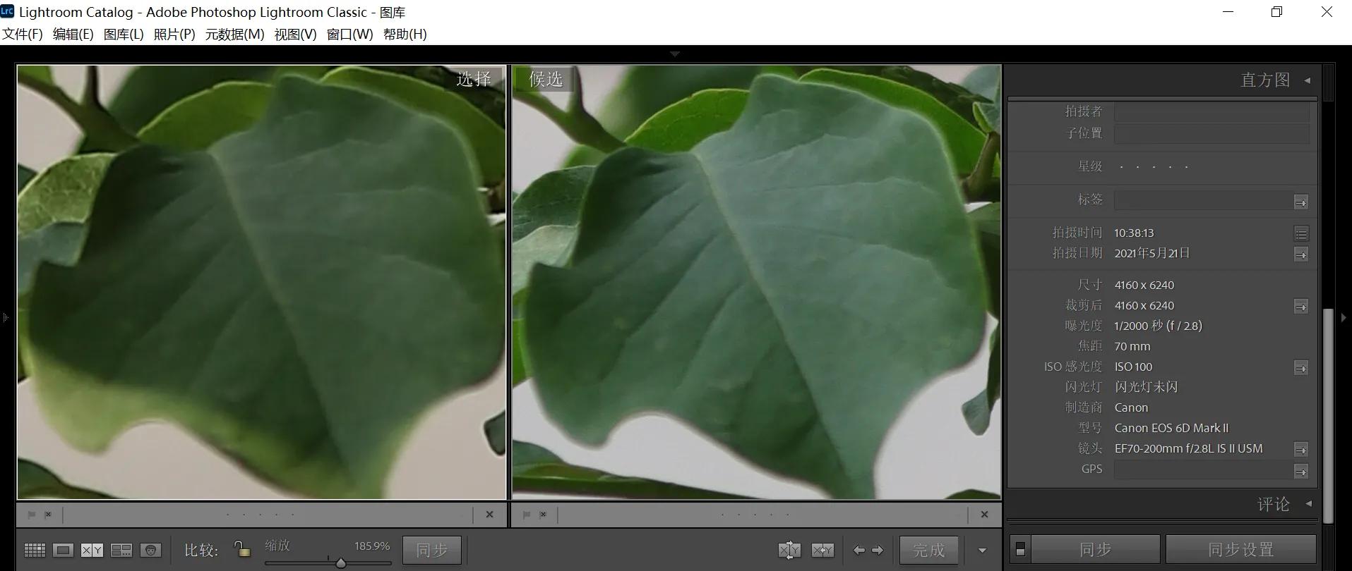 佳能微单rp和6d2买哪个好一些,佳能微单m50二代和6d2