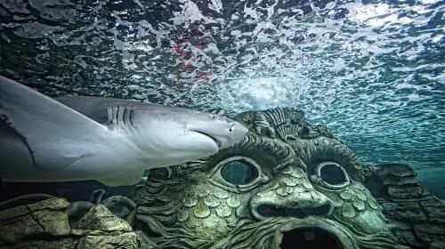 亲子游寒假去哪旅游最好,寒假孩子去哪旅游最好