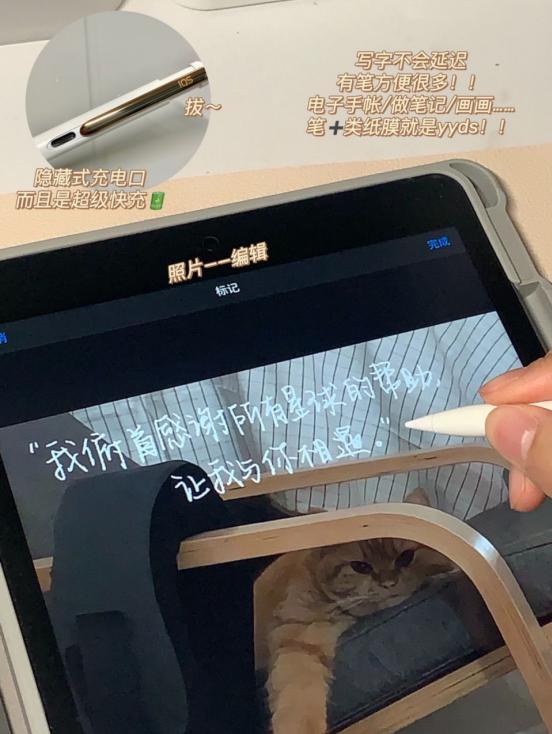 比较好用的ipad学习app,ipad的学习app推荐来啦
