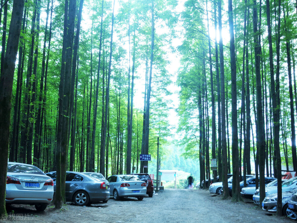 重庆适合亲子游2天一晚避暑,重庆周边的四川避暑胜地有哪些