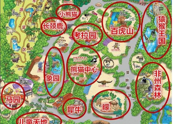 团队自驾游南澳岛旅游攻略,自驾广州长隆3天2夜亲子游攻略