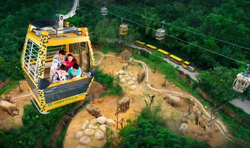 暑假国内旅行攻略亲子游,暑假亲子游适合带孩子旅游的地方