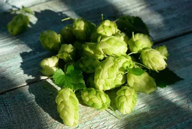 新兴行业的弊端,新兴行业真实现状