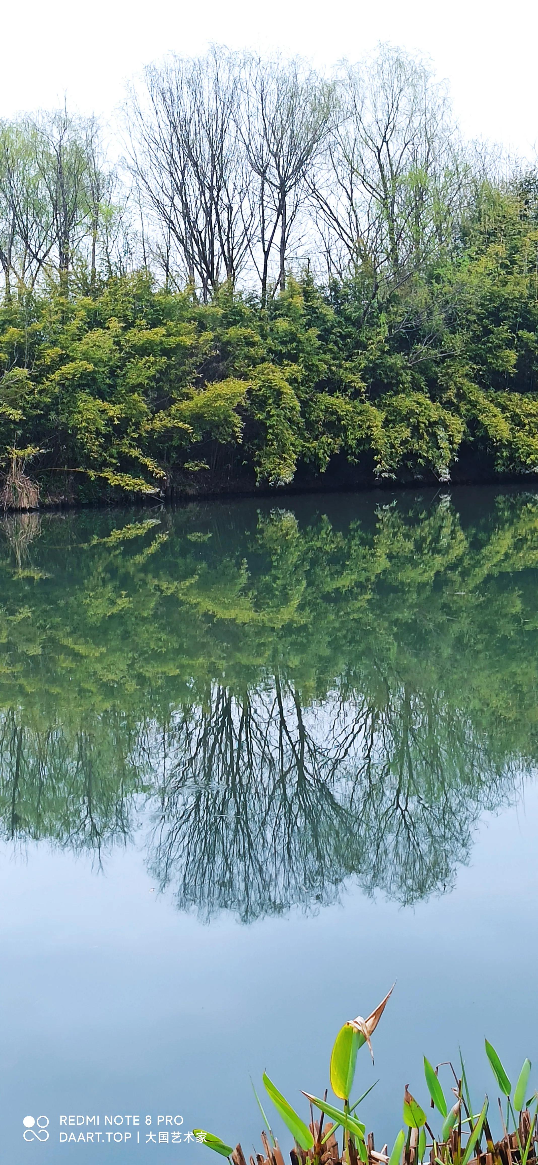 光阴如箭，日月如梭。屈指一数，今天是我入职40周年纪念日