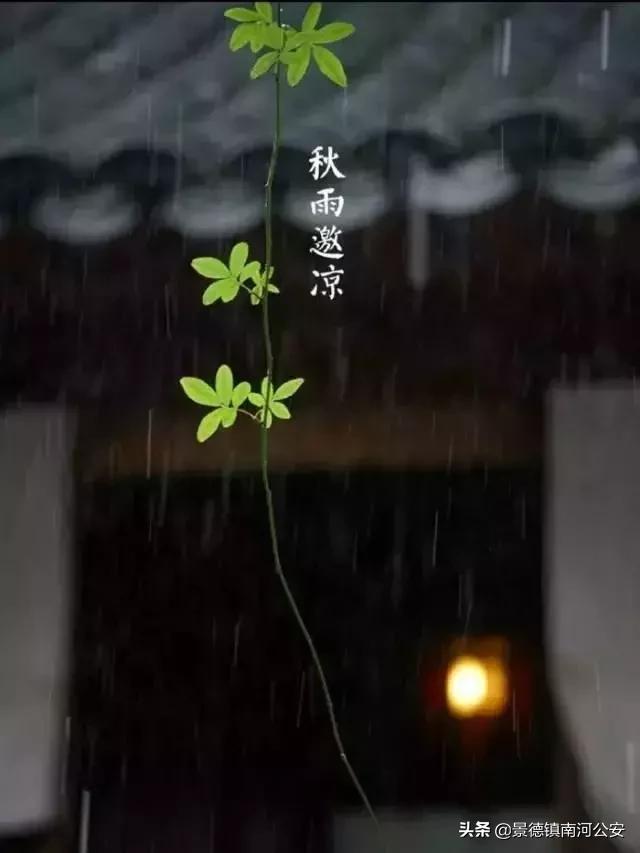 诗词丨33首名作，尽现大唐光荣289年