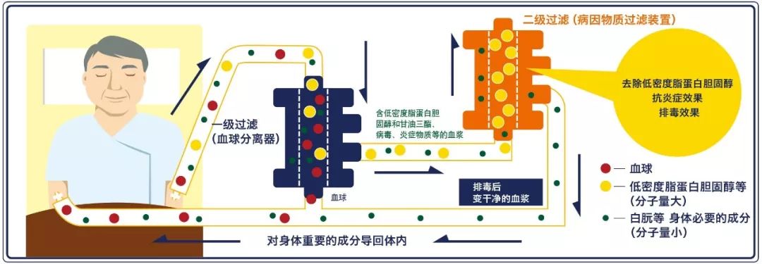 日本净化血液的最好方法 (日本最好的血液净化)
