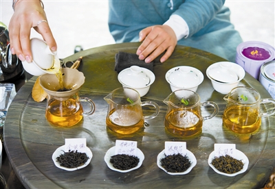 【树木传奇】一片东方神奇树叶——茶树