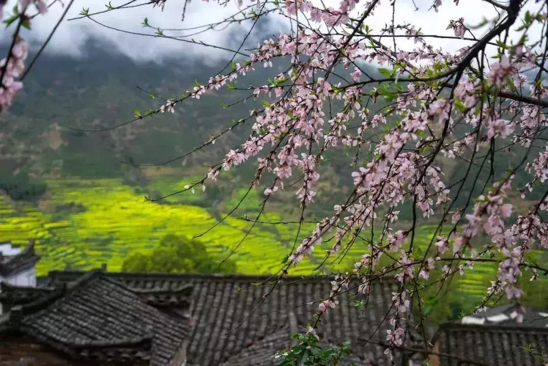 广州周末踏青好去处人少的地方,适合清明踏青的地方广州有哪些