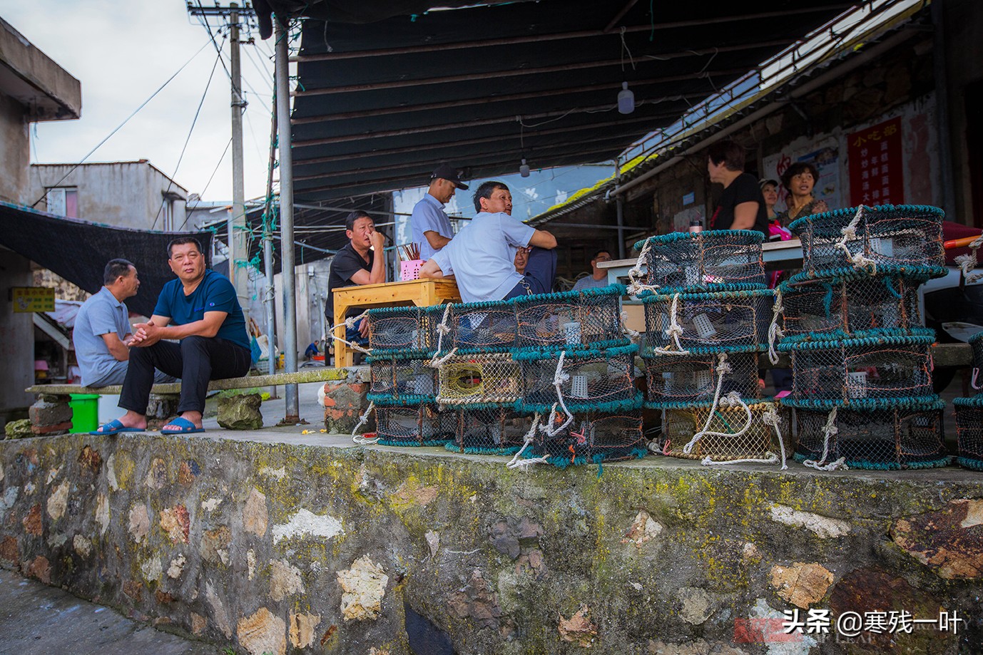 大黄鱼浙江人,浙江鱼民捕获8.7公斤野生大黄鱼